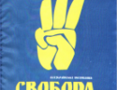 ВО "Свобода" заявляє що на пагорбі Слави у Львові міліція била їх представників