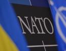НАТО потрібен конфлікт в Україні – Кремль