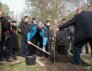 В Криму заклали алею слави на честь бійців самопроголошених республік Донбасу