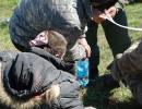 В Одесі внаслідок масової бійки постраждали 16 осіб