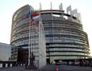 У Європарламенті пропонують включити ДНР і ЛНР до переліку терористичних організацій