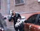 Вандали в Запоріжжі облили олією і обсипали пір