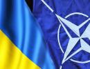 НАТО готуватиме сержантів для української армії