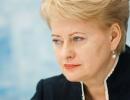 Президент Литви перевершила київських радикалів - МЗС РФ