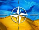 НАТО створило трастові фонди, щоб підтримати воєнну реформу в Україні