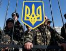 В Чернігівській області мобілізовані військові побили офіцерів