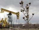 Барель нафти «Brent» коштує вже менше 50 доларів