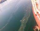 В акваторії Іллічівського порту плавають відходи (ФОТО)