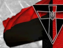Депутат від ПР: Геноцид поляків на Волині був здійснений не Україною, а ОУН-УПА