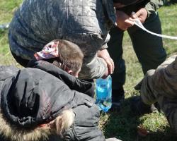 В Одесі внаслідок масової бійки постраждали 16 осіб