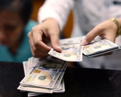 Українська валюта продовжує стрімке падіння
