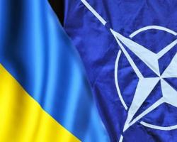 НАТО готуватиме сержантів для української армії