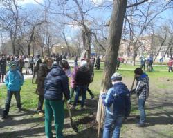 Молоде покоління Херсону вирішило зайнятися озелененням міста