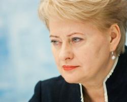 Президент Литви перевершила київських радикалів - МЗС РФ