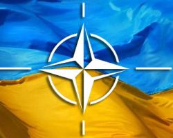 НАТО створило трастові фонди, щоб підтримати воєнну реформу в Україні