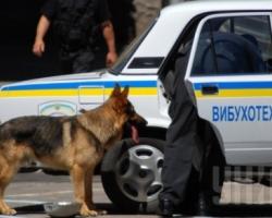 Джерело: Мінування залізничного вокзалу «Одеса-Головна» - протест проти нинішньої політичної ситуації