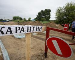 На Миколаївщині ввели карантин на фермі через тварину зі сказом