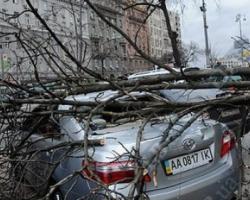 В Україні через негоду та сильний вітер знеструмлено 280 населених пунктів