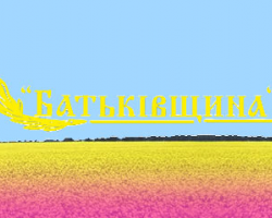 Семиногу не пустили на з'їзд "Батьківщини"
