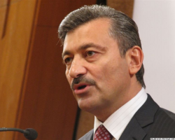 Джарти розраховує, що Янукович встигне передати закон до парламенту